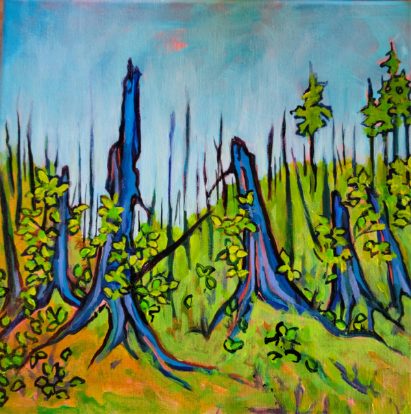 Connections  Live At Carlin Hall